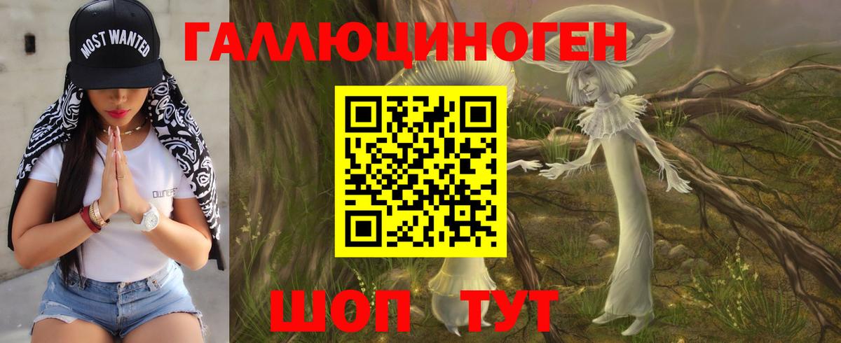 Псилоцибиновые грибы Magic Shrooms  Вход с VPN  купить  сайты  Большой Камень 